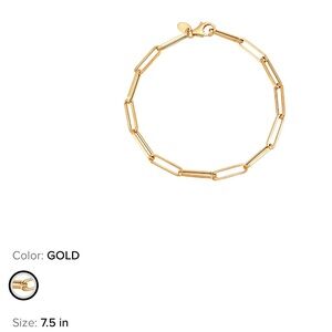3.9 mm Hollow Paper Clip Chain in 10K Yellow Gold